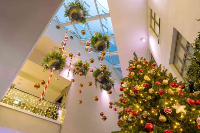 Tänä jouluna NH Collection Helsinki Grand Hansa toimii virallisena Joulupuu-keräyspisteenä.